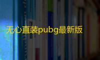 无心直装pubg最新版