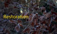 Restoration(误删恢复软件)